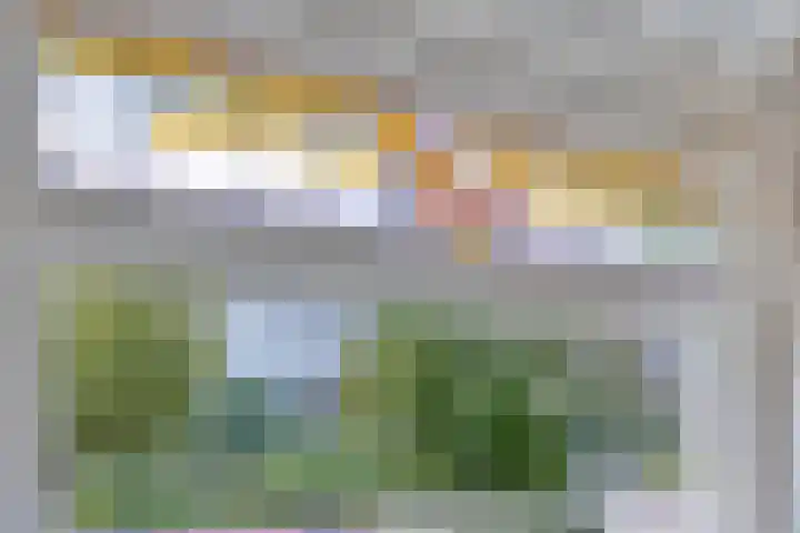 Pelikaanstraat 9 Assen thumbnail 15