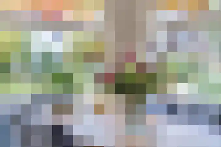 Pelikaanstraat 9 Assen thumbnail 17