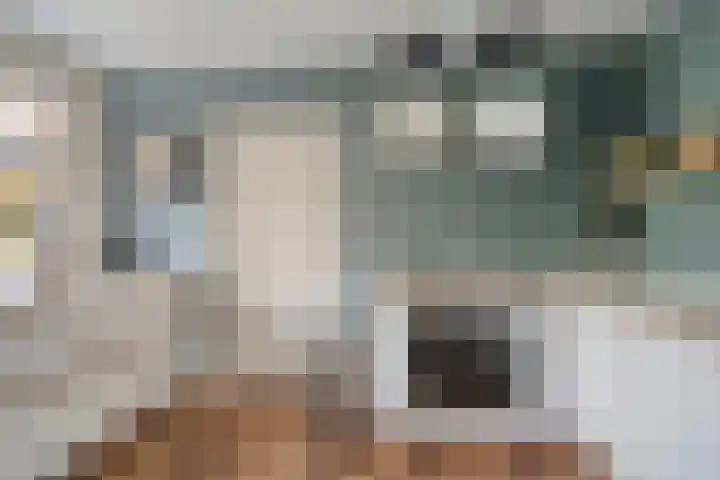 Pelikaanstraat 9 Assen thumbnail 23