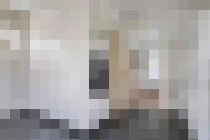 Pelikaanstraat 9 Assen thumbnail 25