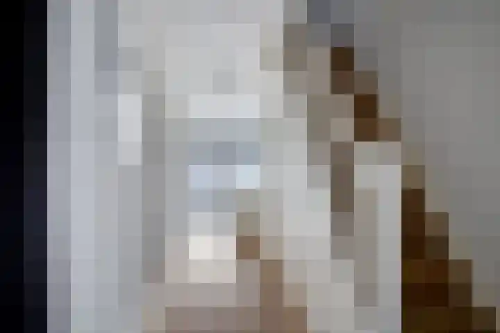 Pelikaanstraat 9 Assen thumbnail 27