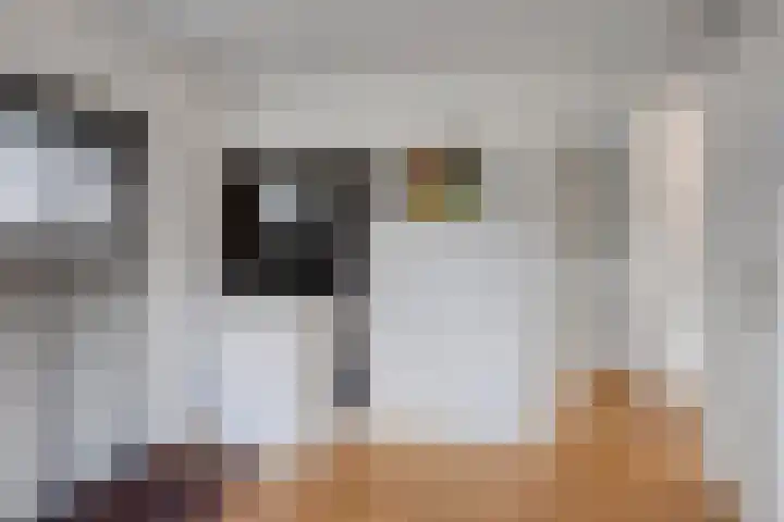 Pelikaanstraat 9 Assen thumbnail 36
