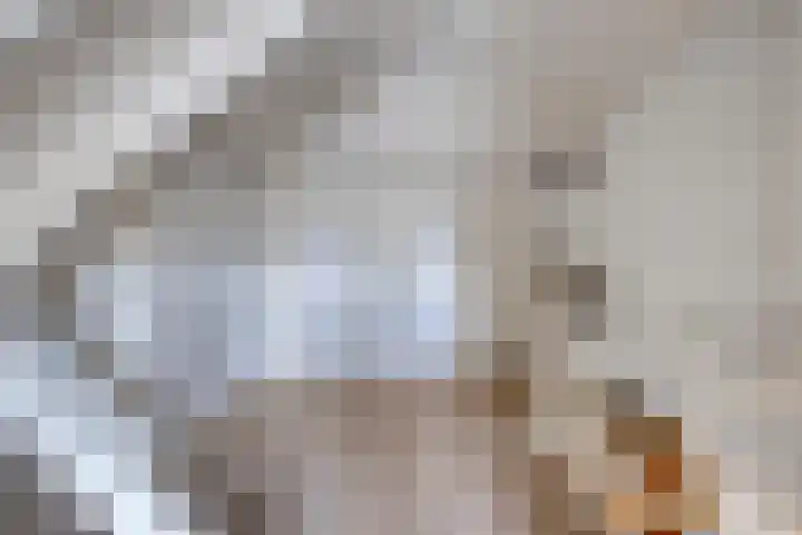 Pelikaanstraat 9 Assen thumbnail 37