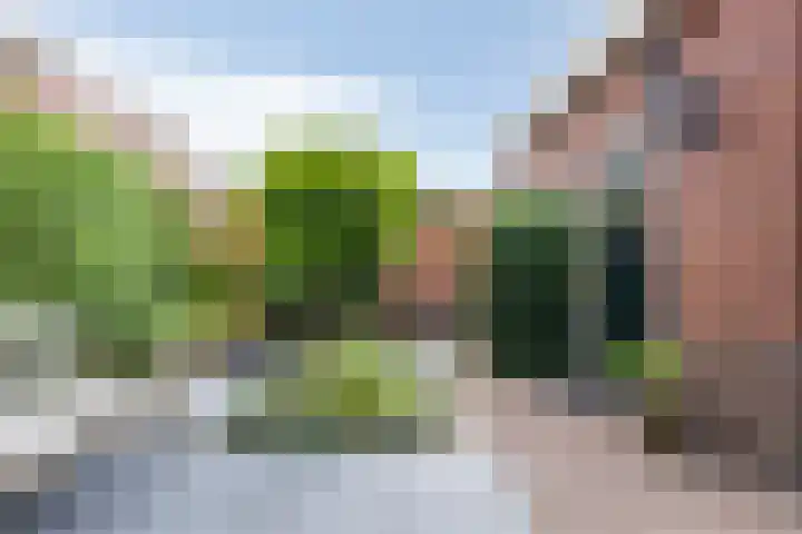 Pelikaanstraat 9 Assen thumbnail 42