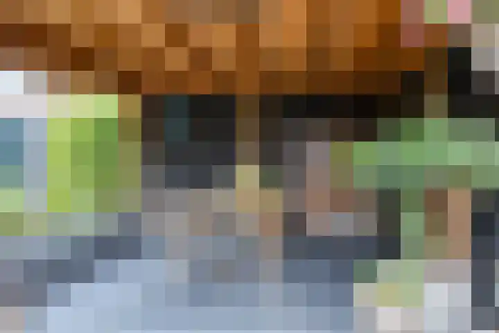 Pelikaanstraat 9 Assen thumbnail 44