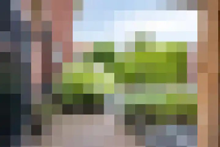 Pelikaanstraat 9 Assen thumbnail 45