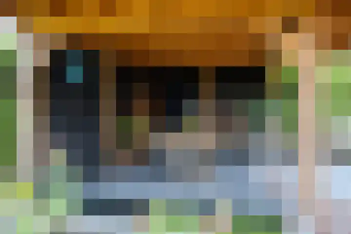 Pelikaanstraat 9 Assen thumbnail 47