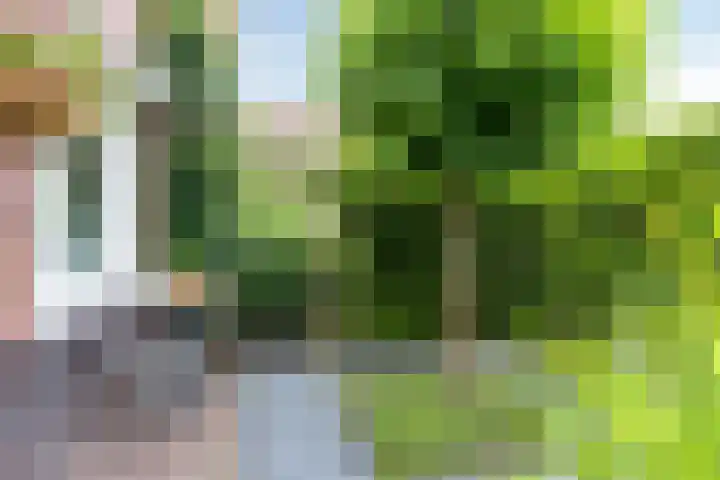 Pelikaanstraat 9 Assen thumbnail 48