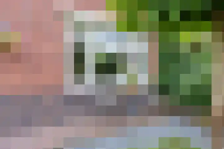 Pelikaanstraat 9 Assen thumbnail 49