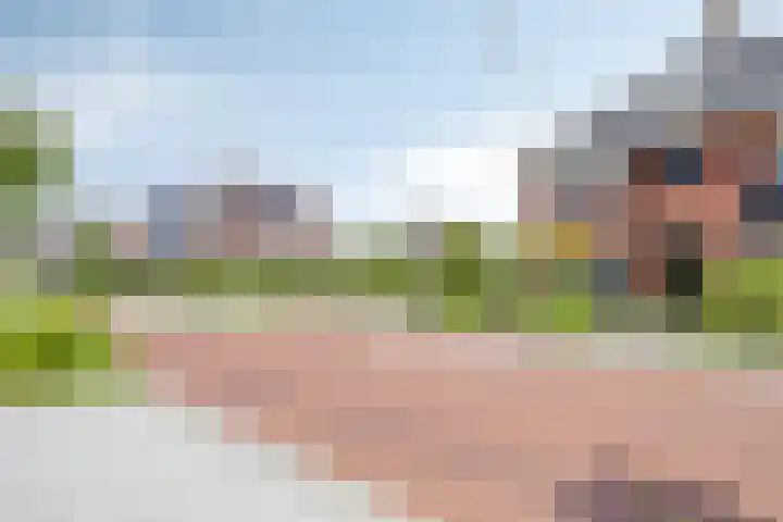 Pelikaanstraat 9 Assen thumbnail 5
