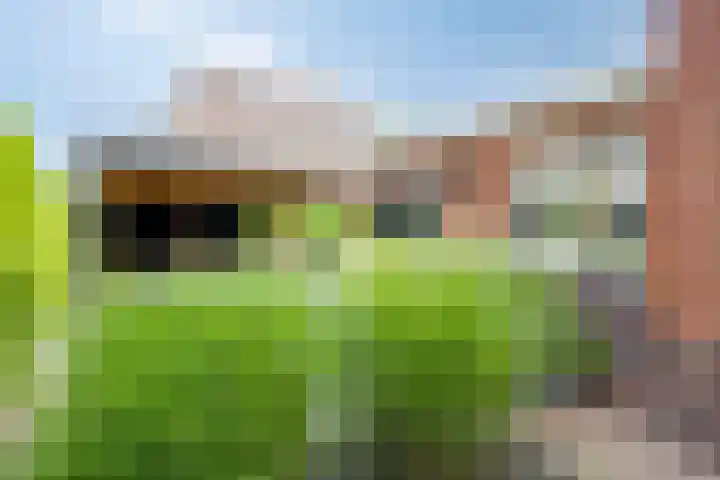 Pelikaanstraat 9 Assen thumbnail 50