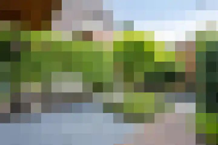 Pelikaanstraat 9 Assen thumbnail 51