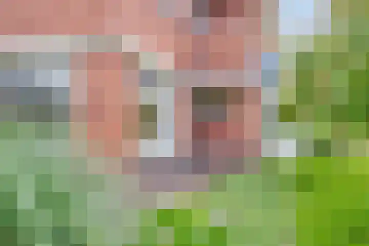 Pelikaanstraat 9 Assen thumbnail 54