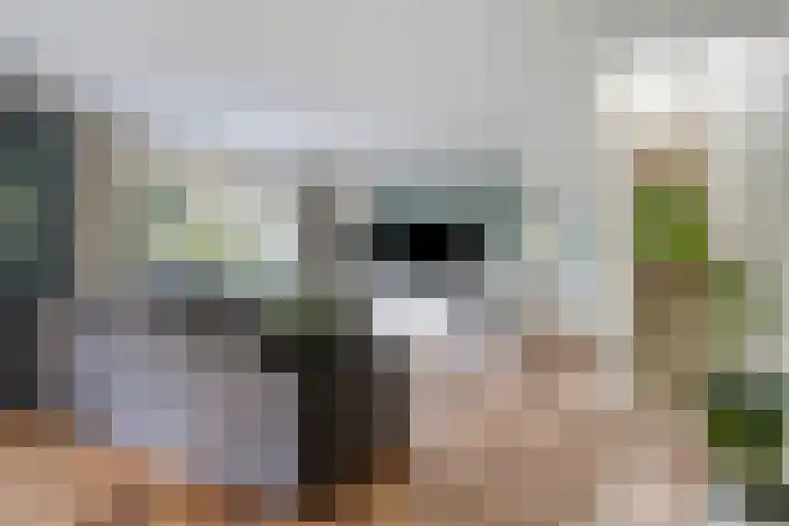 Pelikaanstraat 9 Assen thumbnail 9