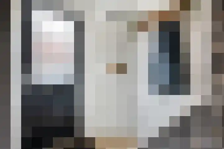 Pelikaanstraat 9 Tilburg thumbnail 11