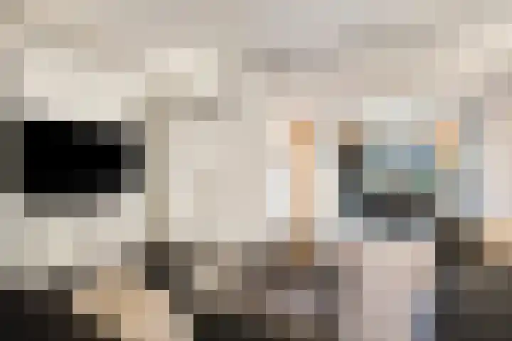 Pelikaanstraat 9 Tilburg thumbnail 15