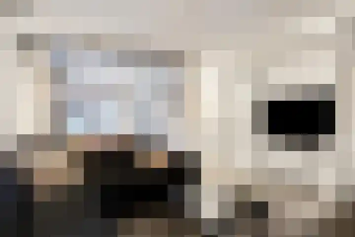 Pelikaanstraat 9 Tilburg thumbnail 17