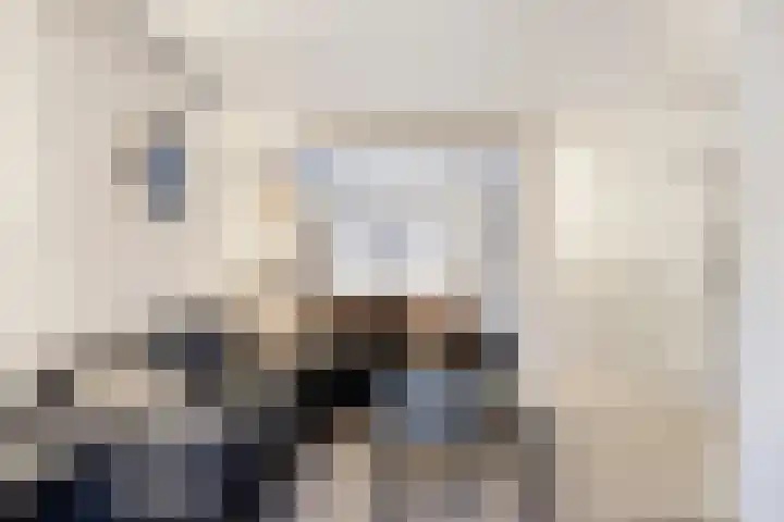 Pelikaanstraat 9 Tilburg thumbnail 18