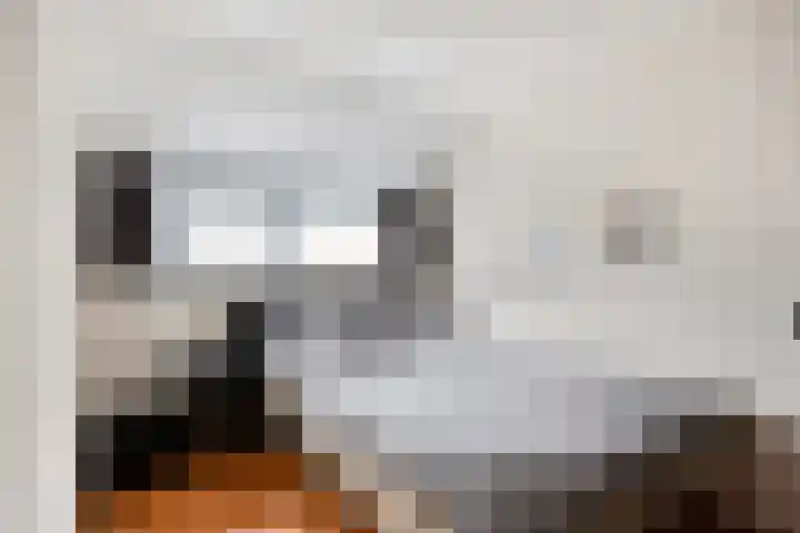 Pelikaanstraat 9 Tilburg thumbnail 32