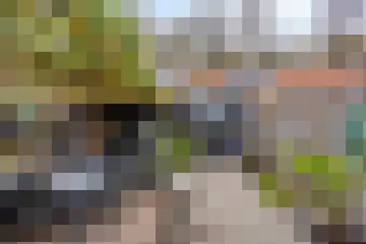 Pelikaanstraat 9 Tilburg thumbnail 38