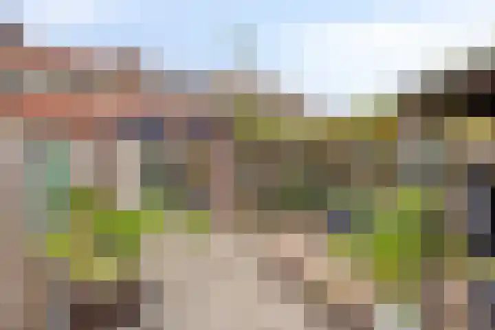 Pelikaanstraat 9 Tilburg thumbnail 39
