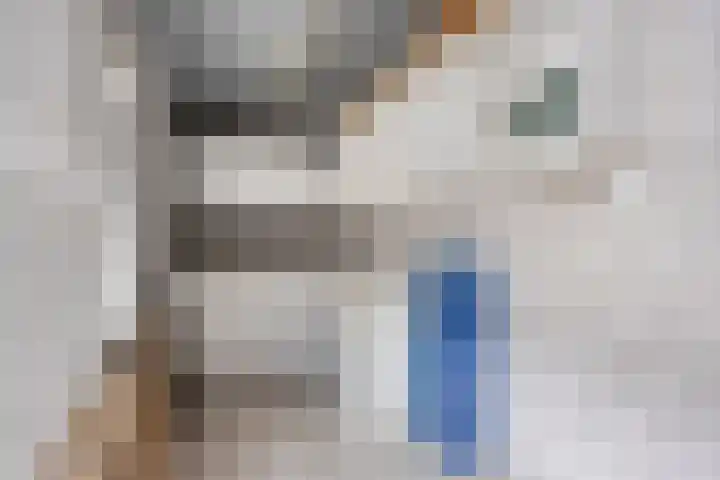 Pelikaanstraat 9 Tilburg thumbnail 42