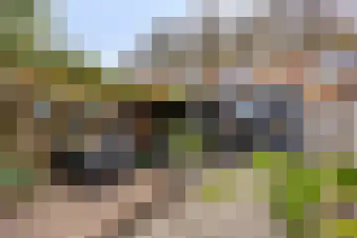 Pelikaanstraat 9 Tilburg thumbnail 5