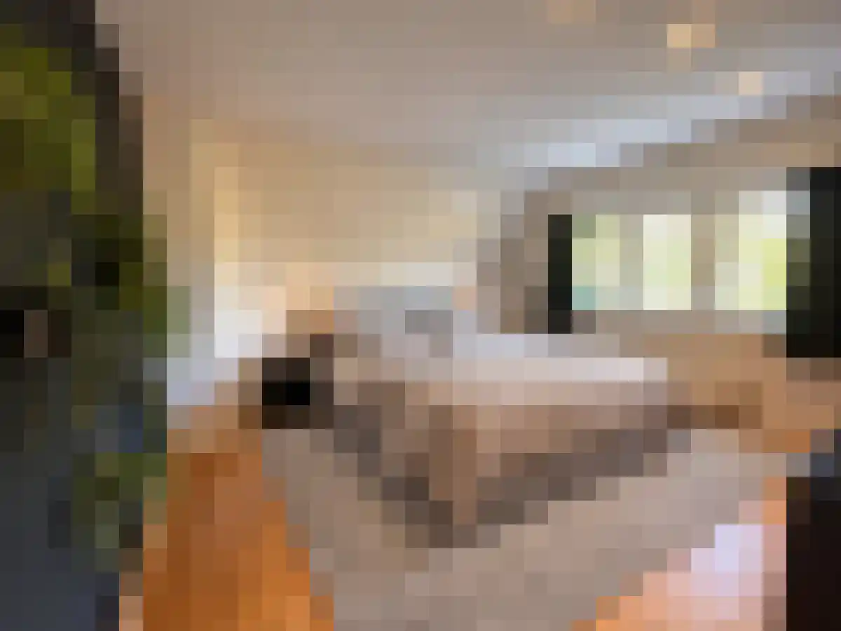 Pelikaanweg 17 Soest thumbnail 6