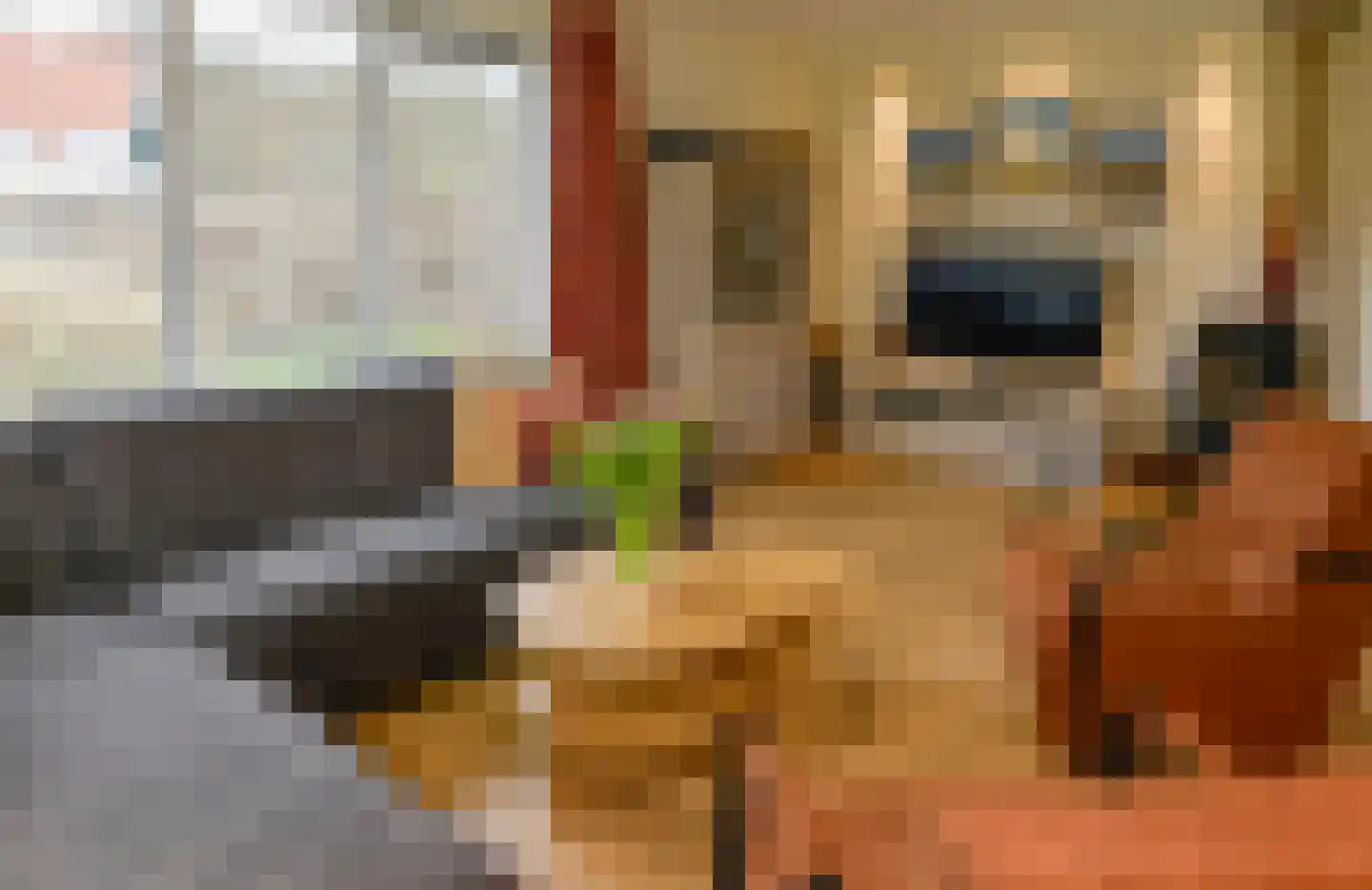 Pelikaanweg 73 E De Koog thumbnail 4