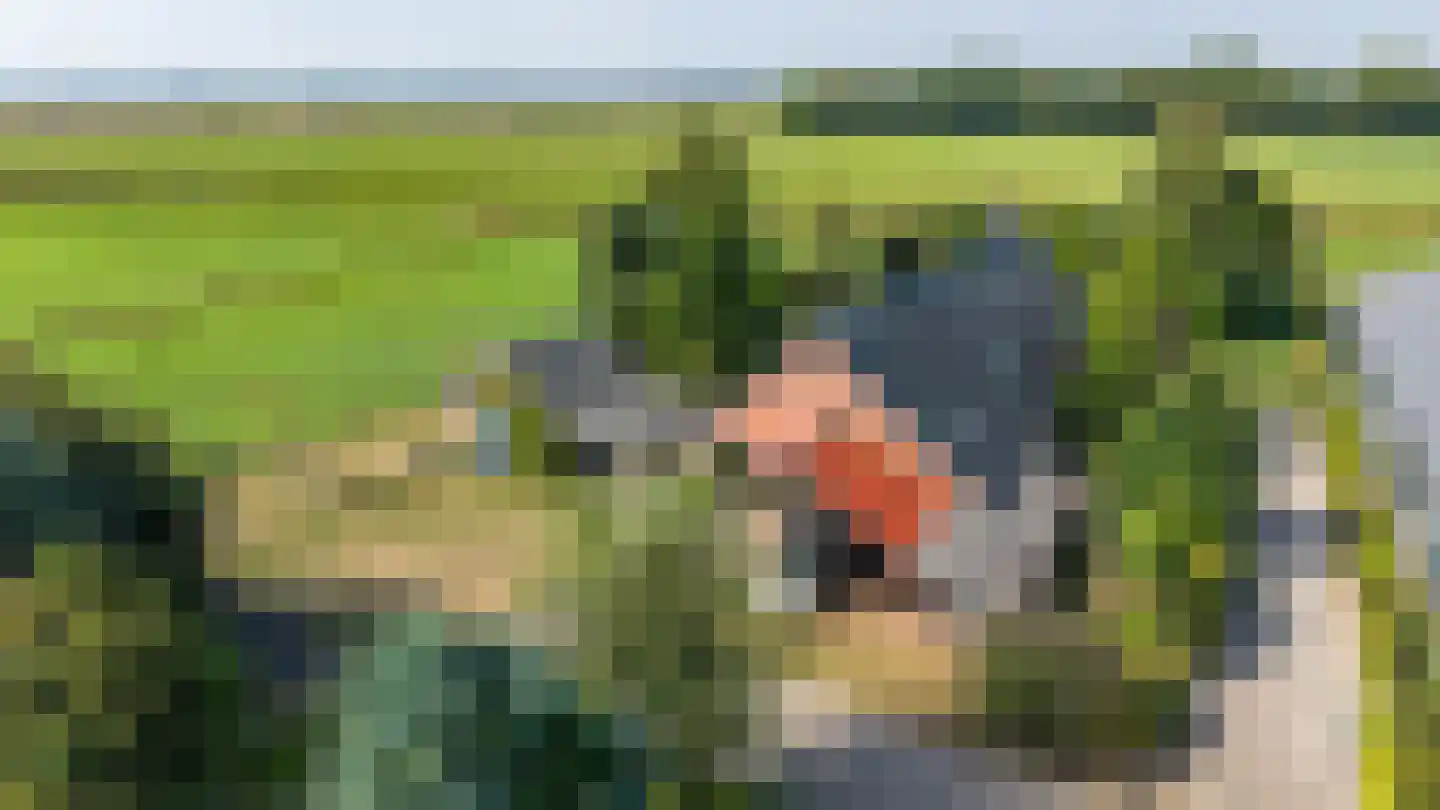 Pelincksweg 1 De Groeve thumbnail 12