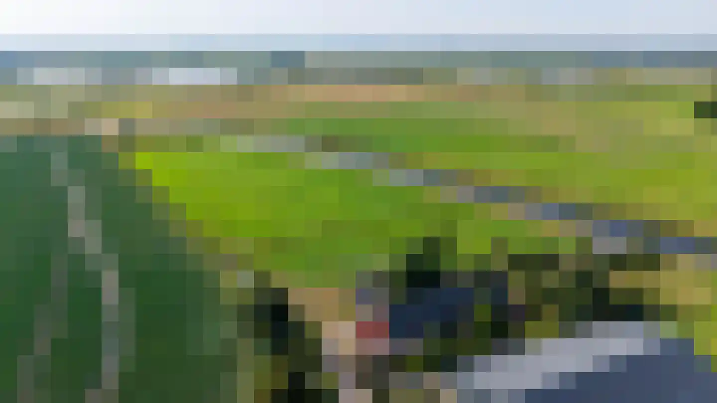 Pelincksweg 1 De Groeve foto 2