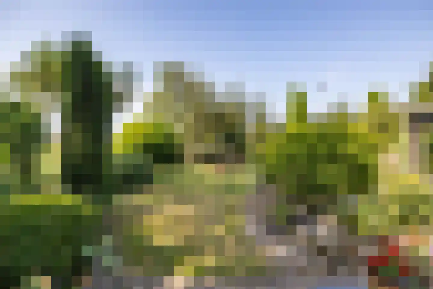 Pelincksweg 1 De Groeve thumbnail 20