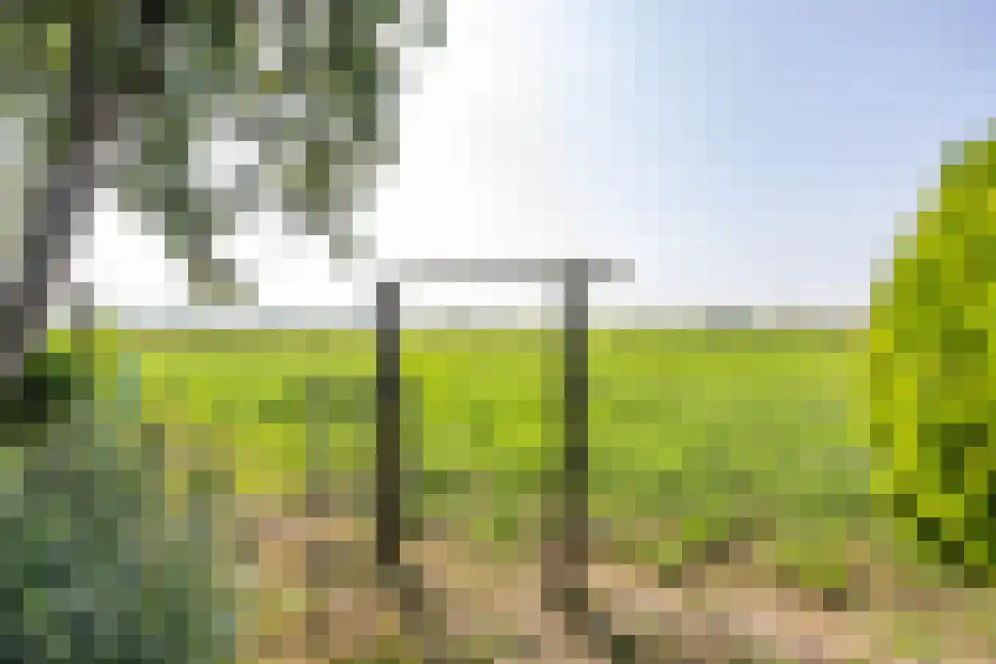 Pelincksweg 1 De Groeve thumbnail 22