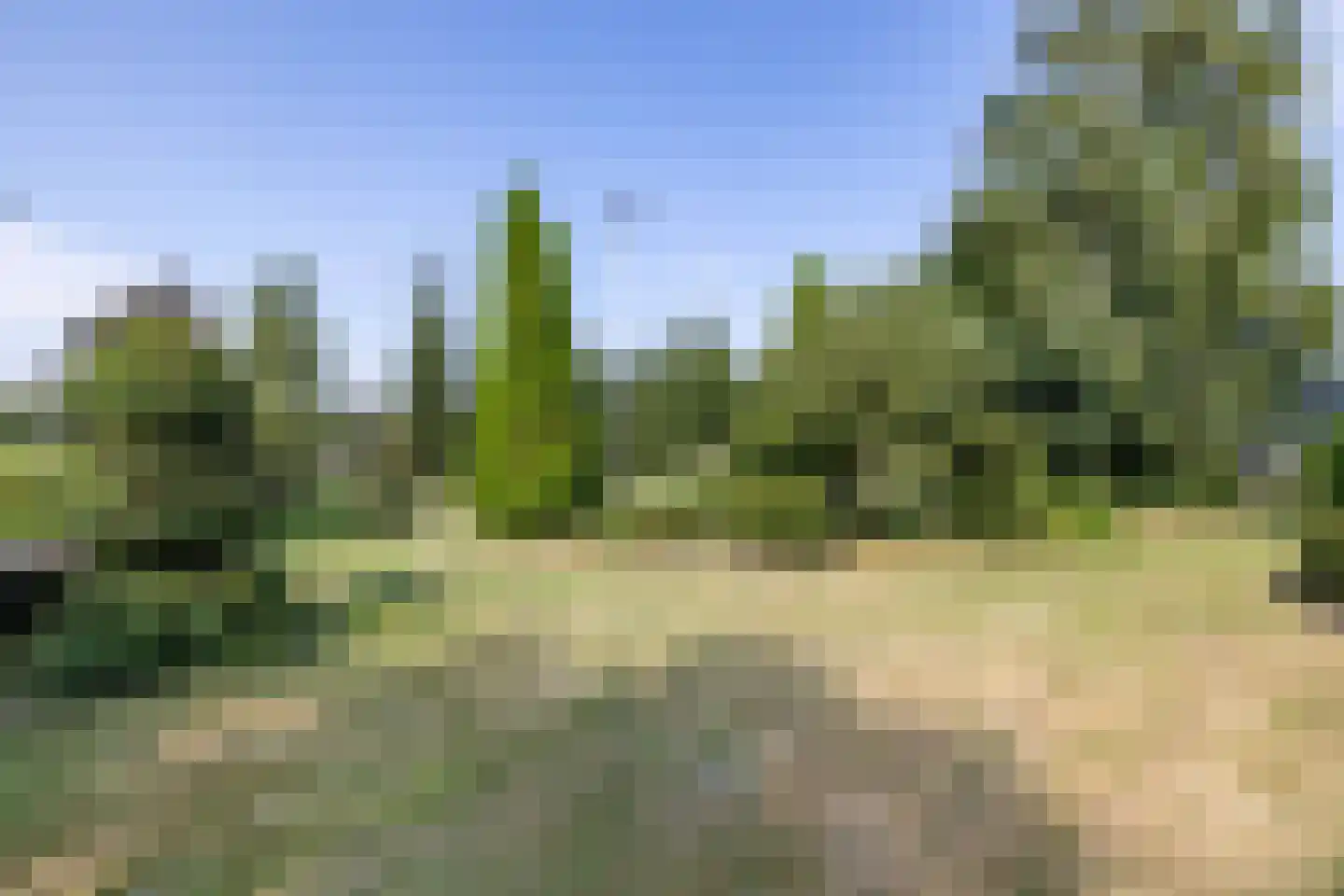 Pelincksweg 1 De Groeve thumbnail 23