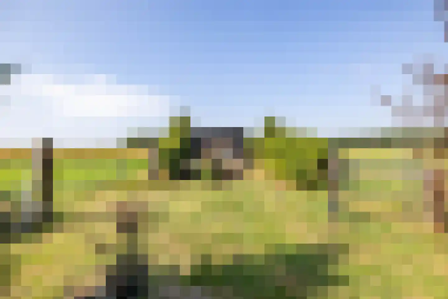 Pelincksweg 1 De Groeve thumbnail 25