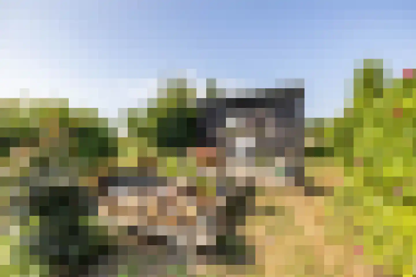 Pelincksweg 1 De Groeve thumbnail 26