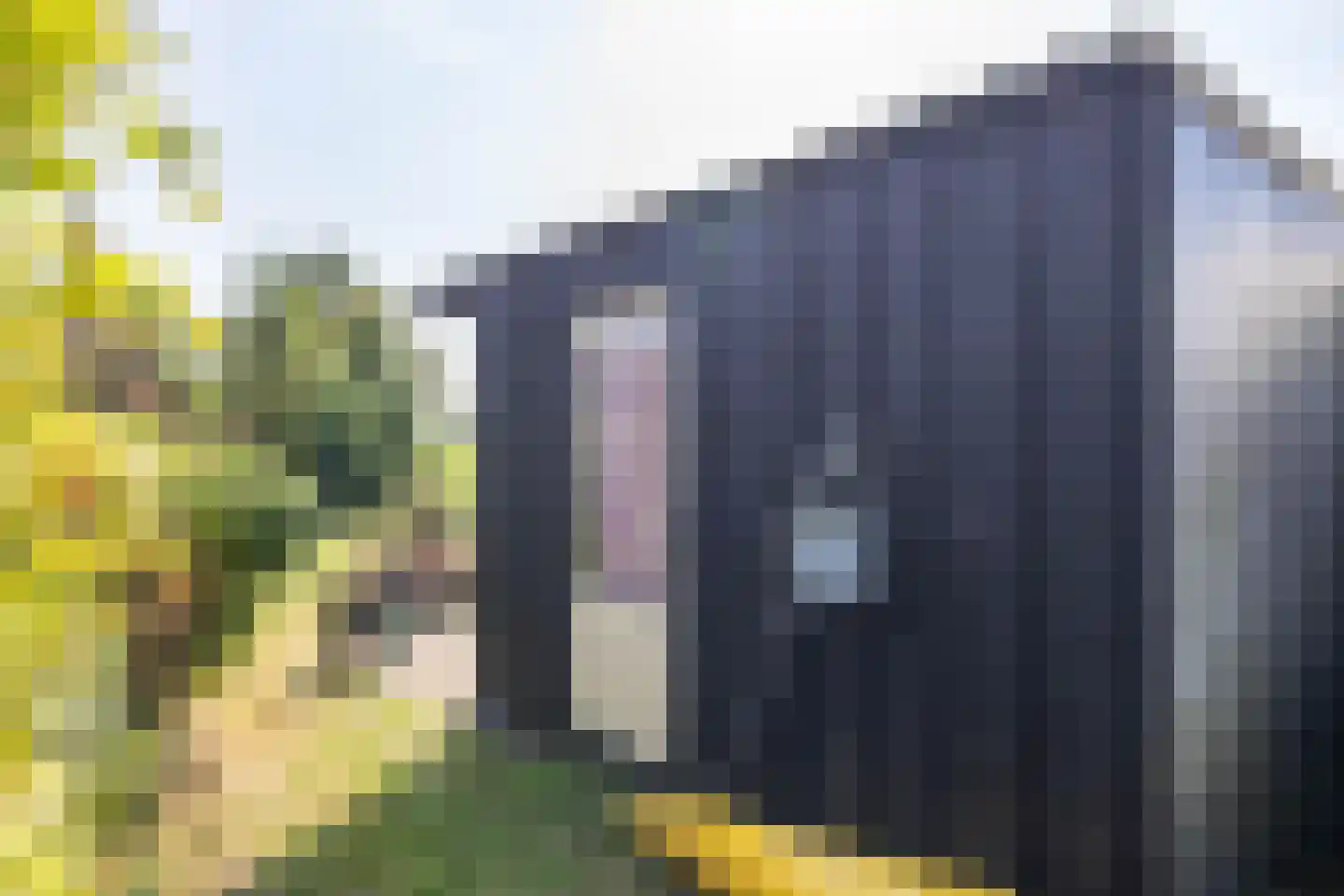 Pelincksweg 1 De Groeve thumbnail 27