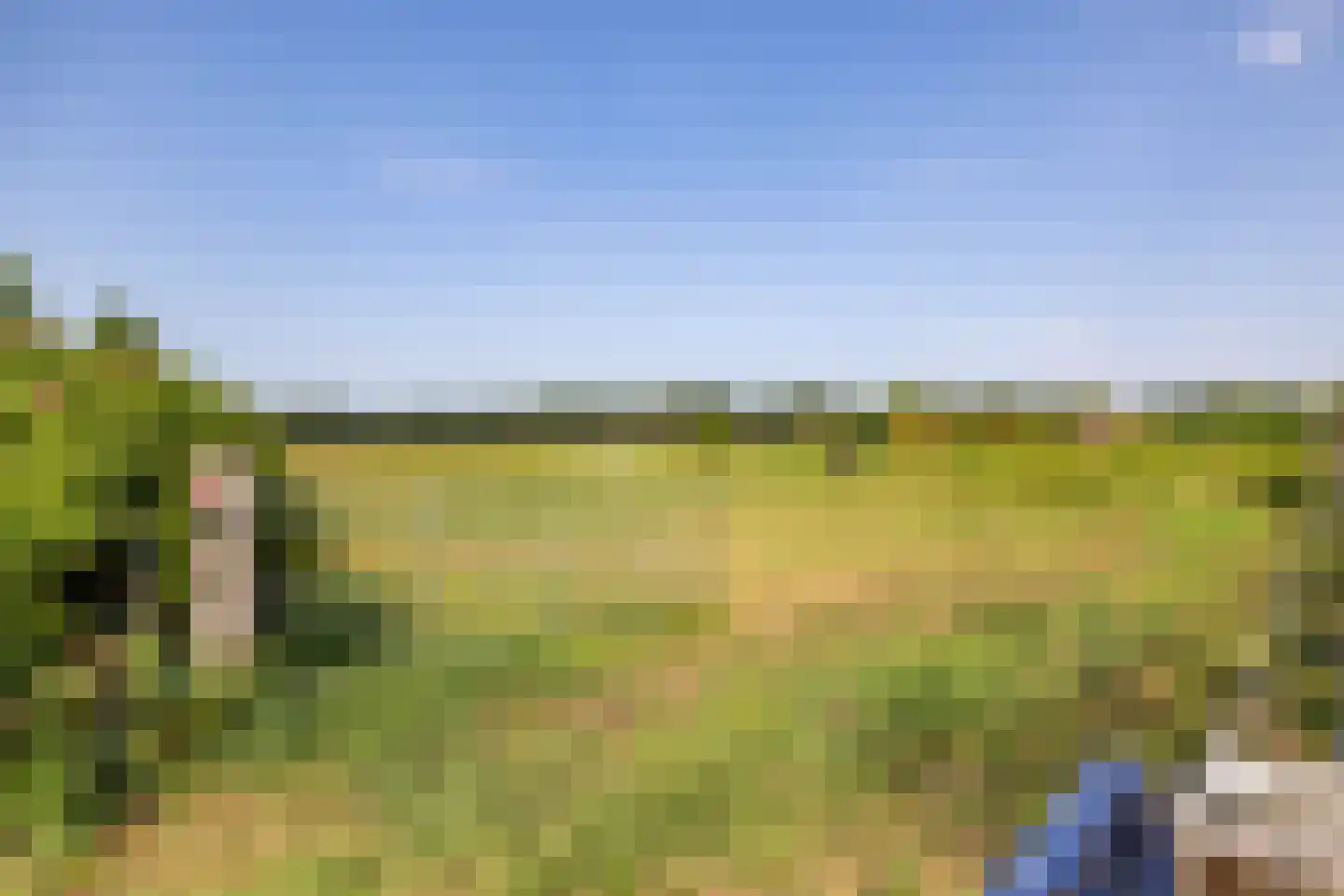 Pelincksweg 1 De Groeve thumbnail 32