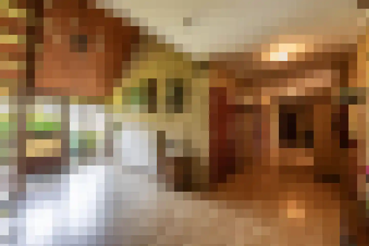 Pelincksweg 1 De Groeve thumbnail 36