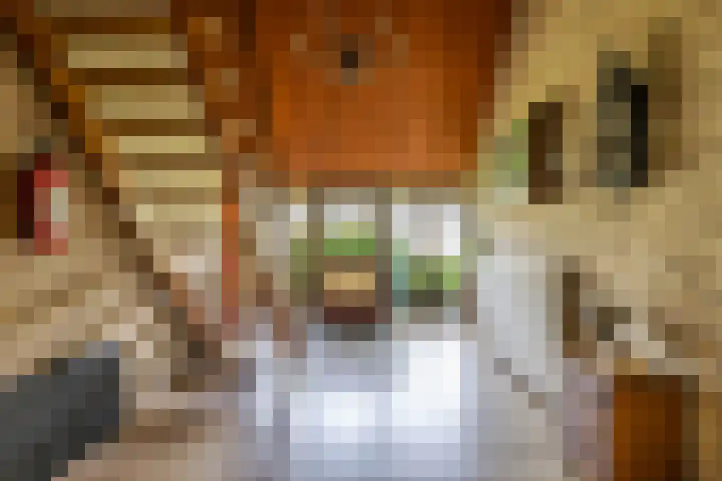 Pelincksweg 1 De Groeve thumbnail 37