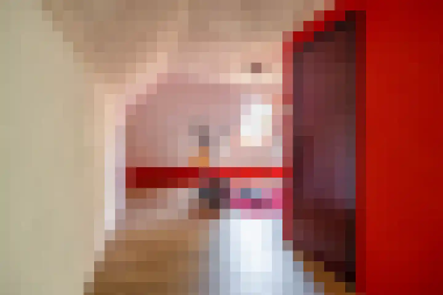 Pelincksweg 1 De Groeve thumbnail 60