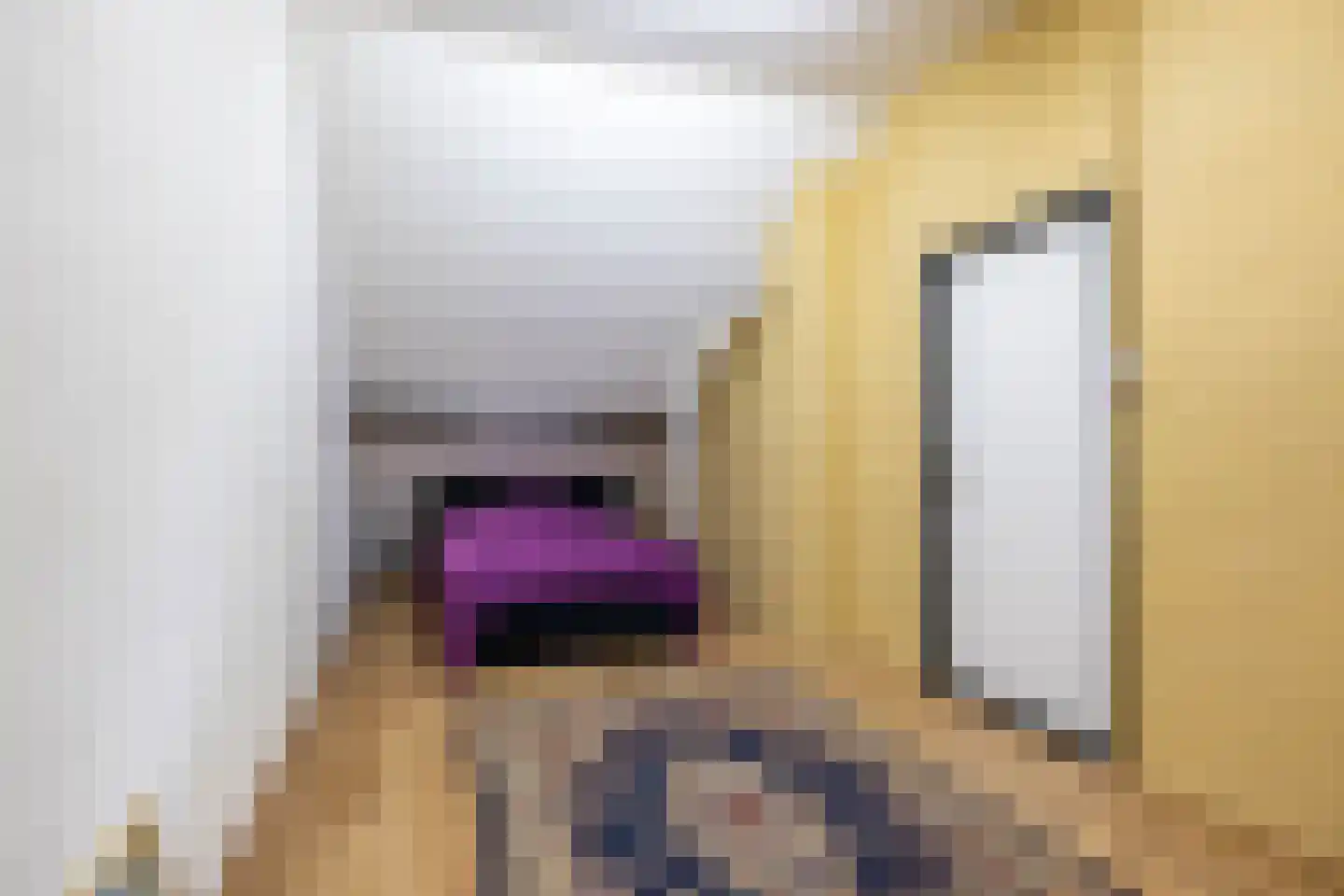 Pelincksweg 1 De Groeve thumbnail 64
