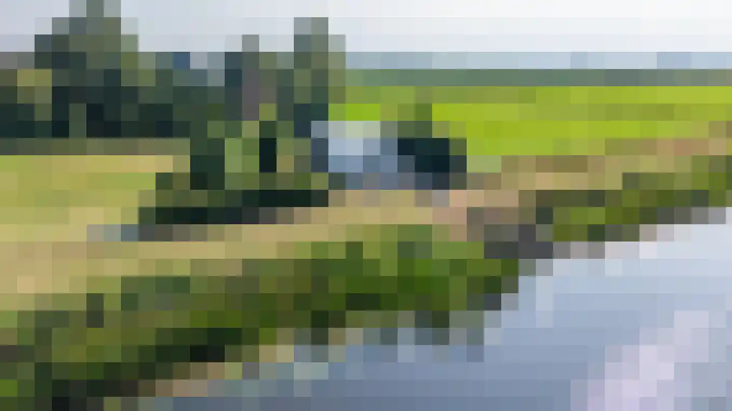 Pelincksweg 1 De Groeve thumbnail 8