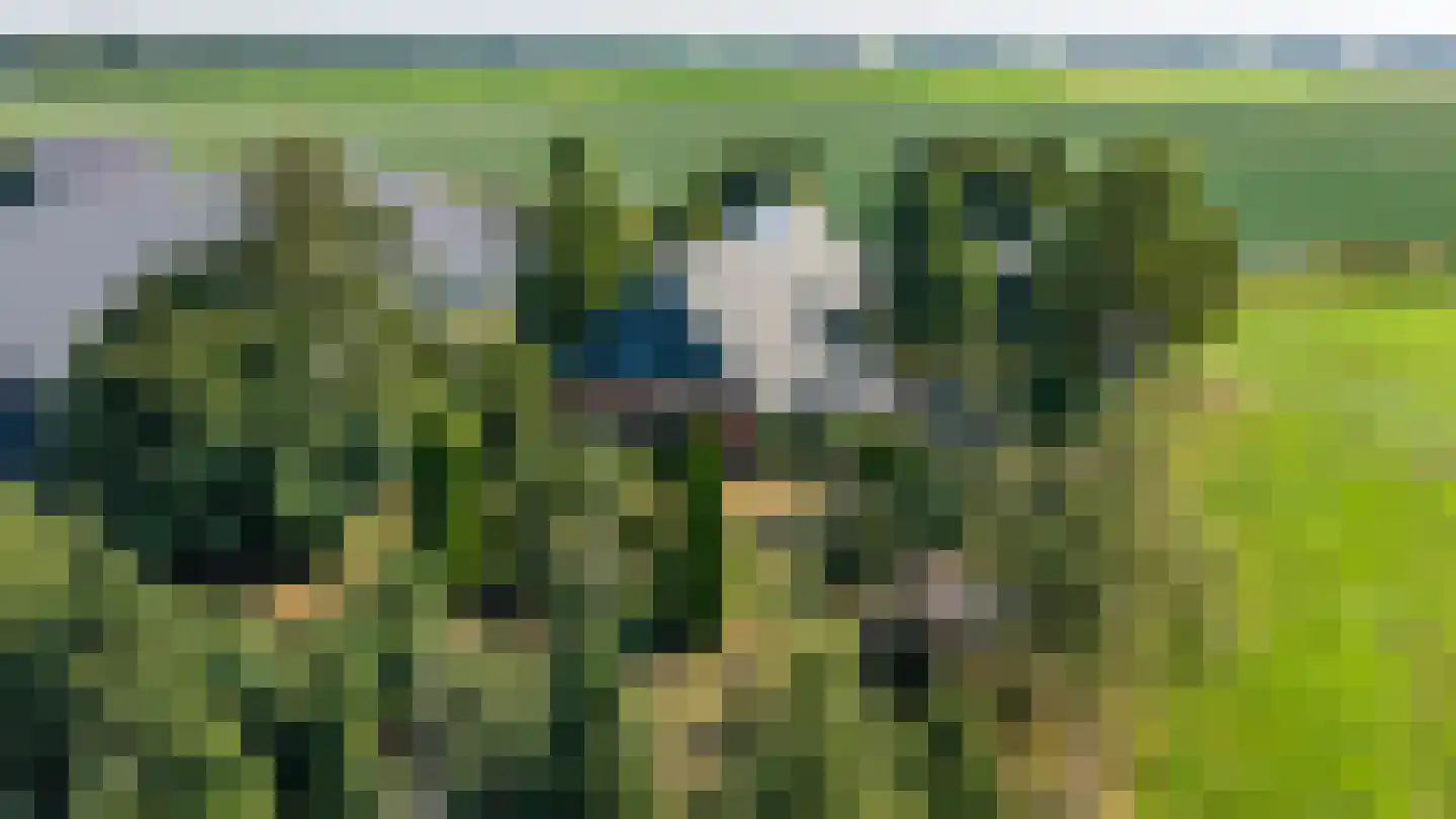 Pelincksweg 1 De Groeve thumbnail 9