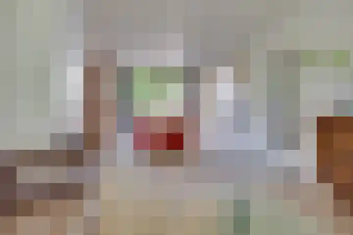 Pelléaspad 1 Amersfoort thumbnail 10