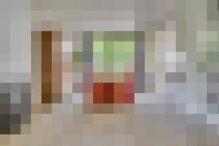 Pelléaspad 1 Amersfoort thumbnail 11