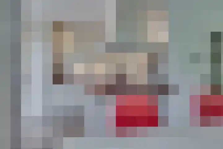 Pelléaspad 1 Amersfoort thumbnail 13