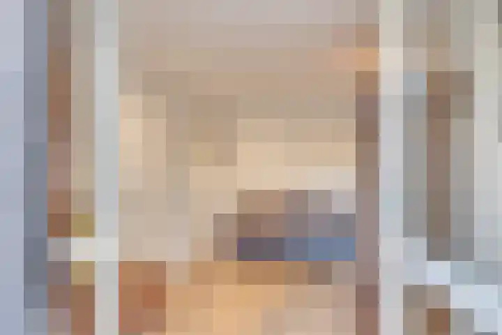 Pelléaspad 1 Amersfoort thumbnail 14