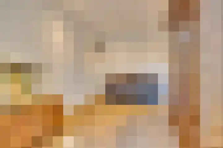 Pelléaspad 1 Amersfoort thumbnail 15
