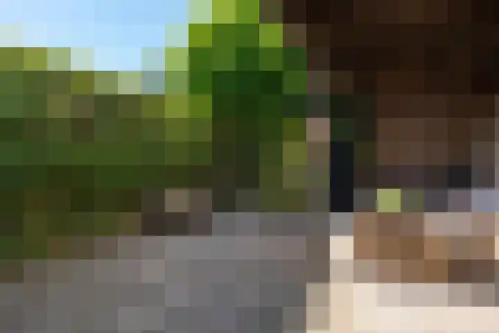 Pelléaspad 1 Amersfoort thumbnail 17